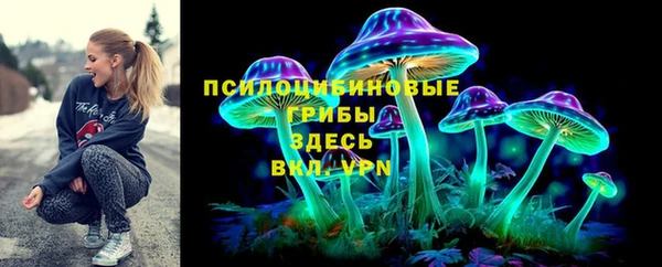 Альфа ПВП Мегион